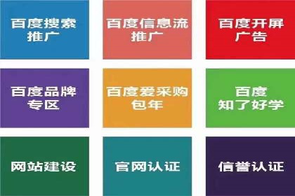 案例解析：SEM投放助力电商增长